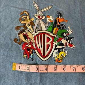 Warner Bros Embroidery Cartoon Character Chambray Shirt